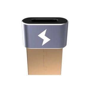 차지아삽 Chargeasap USB-C to A 어댑터