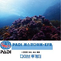 제주도 다이빙 스킨스쿠버 PADI 레스큐 다이버 + EFR 패키지