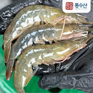 26년 국내산 흰다리새우 생새우 활새우 왕새우 1kg 500g / 1kg는 소금 초장증정