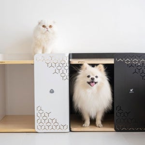 가또페로 반려동물 예쁜 강아지 고양이 집 모노큐브 원목 스틸 애견 하우스