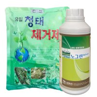 청태제거제500g 노그린500ml (제품별도구매) 수목 나무 과수 잔디 돌 이끼제거 약