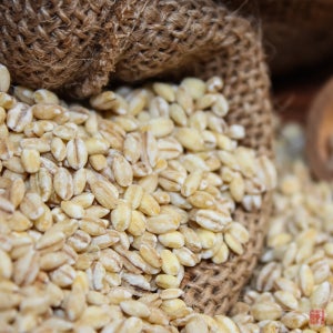 2025년 햇보리 찰보리 5kg 4kg 아들네미농장