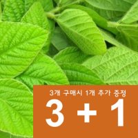 자연담은 건강한 국산 햇콩잎 4팩(3팩 구매시 1팩 무료증정)토끼간식 토끼먹이