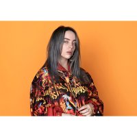 TMC-316 빌리 아일리시 Billie Eilish 대형 셀럽 포스터 브로마이드 액자 뮤지션 가로형