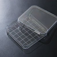 SPL Square Dish 10125 사각디쉬 사각배양접시 1EA