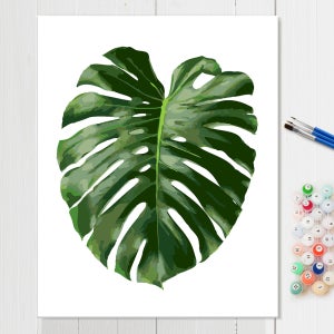 힐링 식물 그림 유화 그리기 집콕취미 세트 DIY 14 몬스테라 40x50