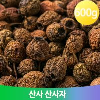 붉은빛 산사나무 열매 600g 산사자 적조자 서사 후사