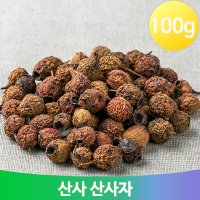 붉은빛 산사나무 열매 100g 산사자 적조자 서사 후사