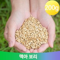 몸보신 영양 보리차 200g 맥아 건강 직장인 식수대용