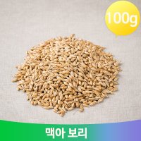 몸보신 영양 보리차 100g 맥아 건강 직장인 식수대용