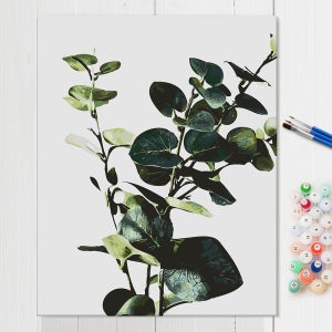 식물그림 유화 그리기 색칠하기 키트 집에서하는 취미생활 DIY 17 유칼립투스 40x50