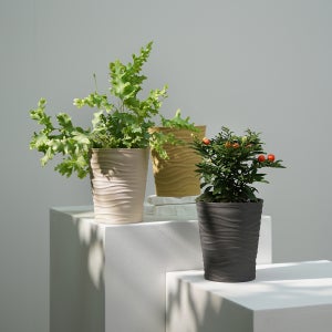 SK화기 인테리어화분 거실 원형 분갈이화분 세라믹 도자기 저면관수 화분 소노라 7cm 유