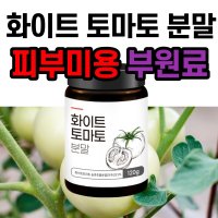 화이트 토마토 분말 가루 라이코펜 토마토추출물 항산화 멜라닌 색소 피부 먹는 피토엔