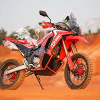 Honda CRF300L & CRF300 Rally 2021 좌우엔진가드