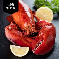 [퀵배송] 가까운수산시장 랍스터 1kg (1마리) [찜서비스무료] (연중무휴/주말,공휴일 가능)