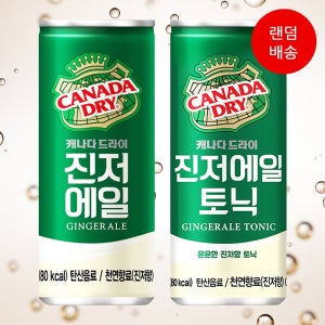 [60캔] 캐나다 드라이 진저에일 250ml 음료수 탄산수 믹서 하이볼 토닉워터 캔음료