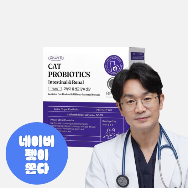 [냉장배송] 프로젝트21 고양이 유산균 장 신장 영양제