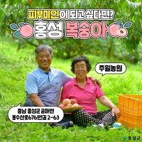 주일농원 광황도 천중도 백도 딱딱이복숭아 4kg