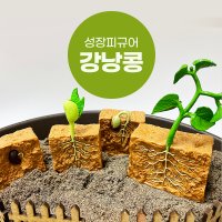 강낭콩 한살이 성장피규어 독후활동 유치원 어린이집 식물 교구 스몰월드