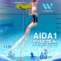 프리다이빙 강습 AIDA1 자격증 레벨1 입문 교육 서울 경기