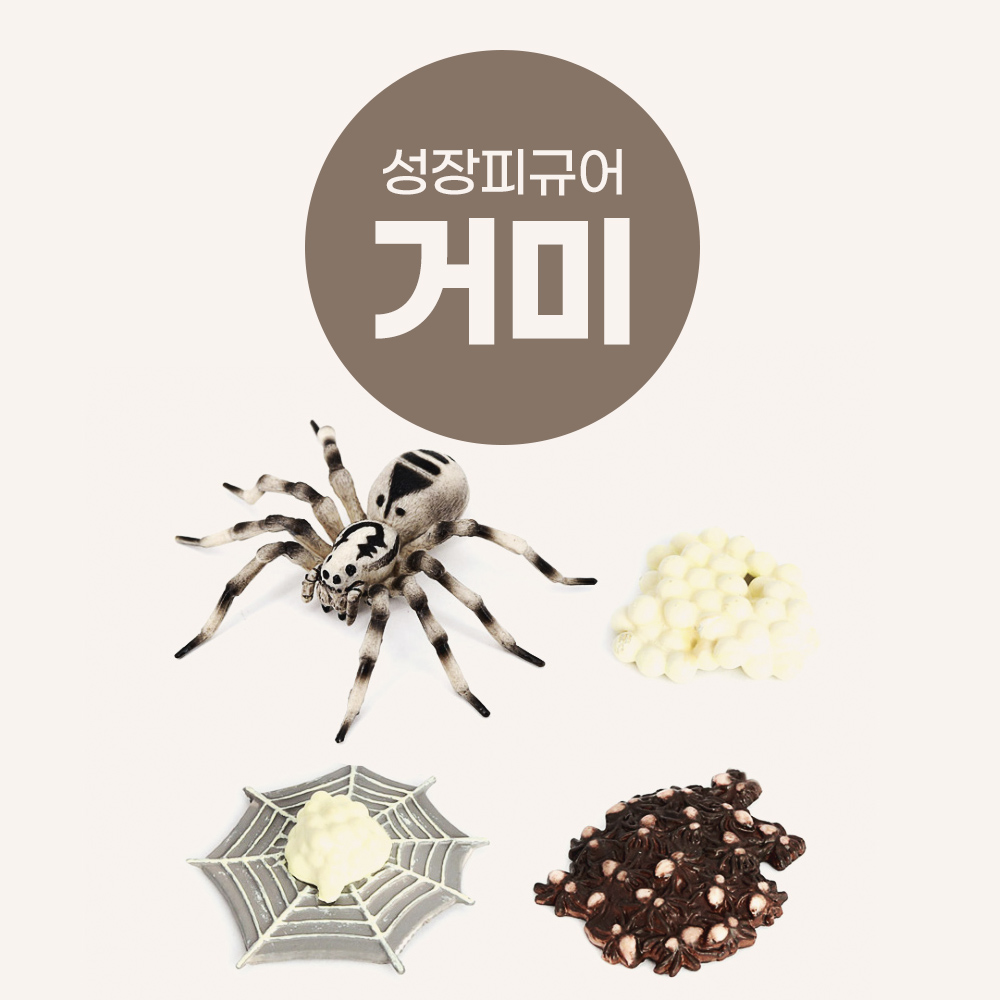 유아창작동화 거미는 내친구! 읽고 거미놀이 (거미라이프사이클) : 네이버 블로그