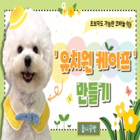 [코바늘DIY] 강아지 유치원케이프 만들기