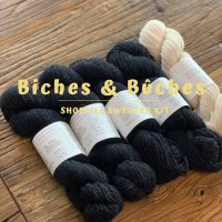 [KIT]비슈에뷔슈 Biches & Buches 슈빌 스웨터 키트 Shoebill Sweater Kit 쁘띠램스울 프랑스 실 대바늘 실 니트하임