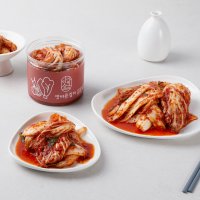 맛바른김치 전라도 매콤 정갈한 신선한 배추겉절이 500g