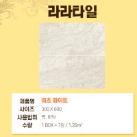 QUARTZ WHITE / 쿼츠 화이트 300X600 무광 현관 화장실 욕실 포세린 타일