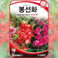 봉선화 씨앗 100립 봉선화 꽃씨 꽃씨몰 종자 봉숭아 꽃 garden balsam 혼합