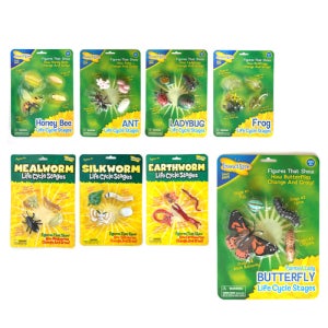 곤충 성장과정 모형 7종 세트