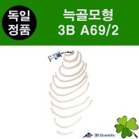 3B 늑골 갈비뼈모형 A69/2 Ribs 인체모형 해부 교육 실습 기자재