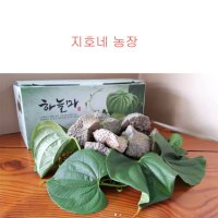 2023년 고창황토밭 열매마 하늘마 우주마 둥근마 넝쿨마 2kg 지호네농장 무료배송