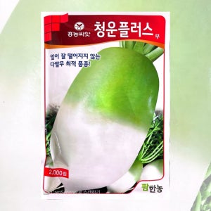 청운플러스무 씨앗 2000립 26년포장 김장무 씨앗
