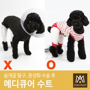 (DOG) 유어썬 모아맘 메디큐어 수트(슬개골 탈구 및 후지 관절 파행)