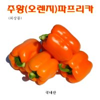 꼬레촌파프리카 오렌지(주황)파프리카 최상품 5kg/box