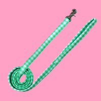 헤이제리 아이스 팝 리쉬(그린) Ice Pop Leash [Green]