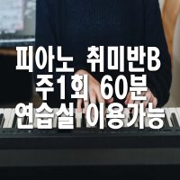 의정부 피아노 개인레슨 취미반B 1개월 수강권