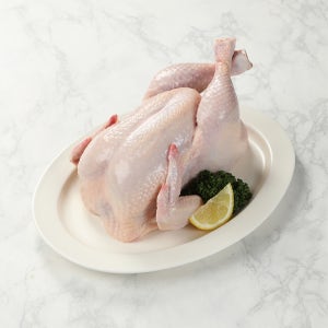 풀토래 국내산 냉장 통닭 5마리