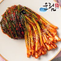 운림가 53년전통 국산 전라도 쪽 파김치 1kg