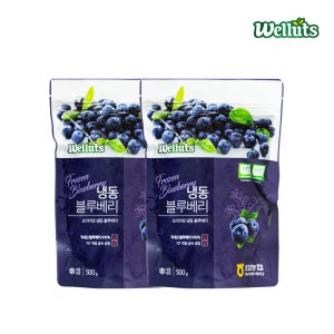 웰루츠 국내산 무농약 냉동 블루베리 500g, 2개