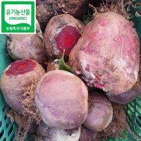 유기농 레드비트 10kg 특상품 친환경 생비트 알비트