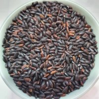 진도 흑미 (검정쌀) 1kg