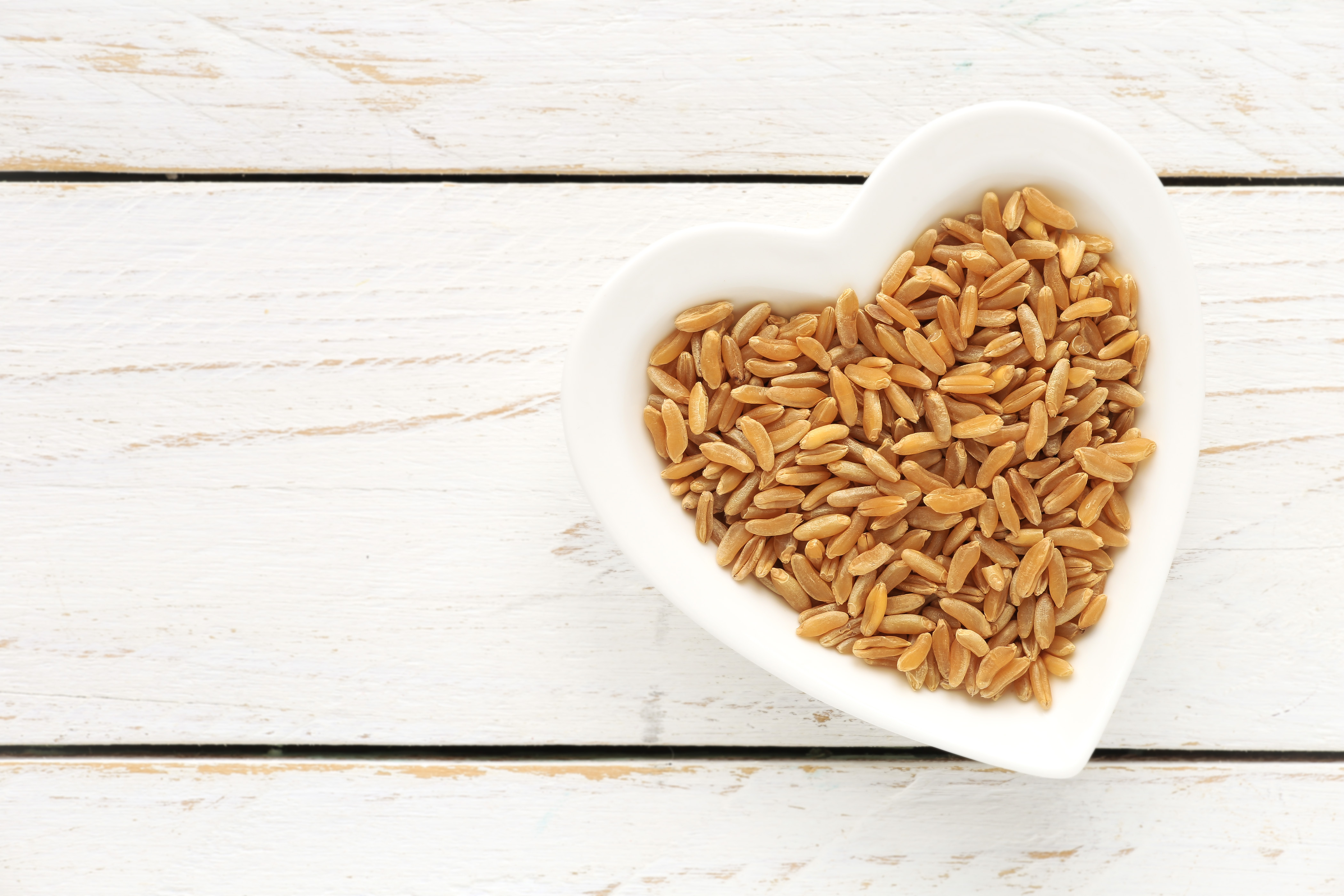 호라산밀 카무트쌀 당뇨에 좋은쌀 11