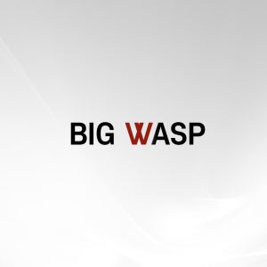 빅와스프 옴브레 반영구 머신니들 20개입 11종 문신 반영구화장재료