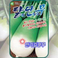 달단무 씨앗 가을 김장무 종자 채소씨앗 무우씨