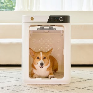 페페 업그레이드 중형견용 펫드라이룸 DR-300PRO 강아지 고양이 애견