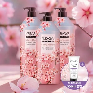 케라시스 퍼퓸 샴푸 체리블라썸 1L X3개+트리트먼트 300ML 증정