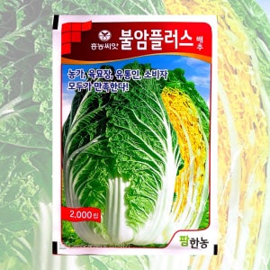 불암플러스배추씨앗 2000립 26년포장 김장 배추 씨앗