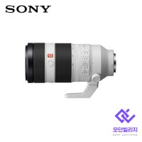 [대여] 소니FE 100-400mm F4.5-5.6 GM OSS 카메라 렌즈 대여 렌탈 렌트